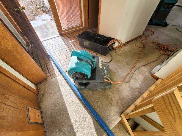 Best Basement water damage restoration  in Prospect, PA