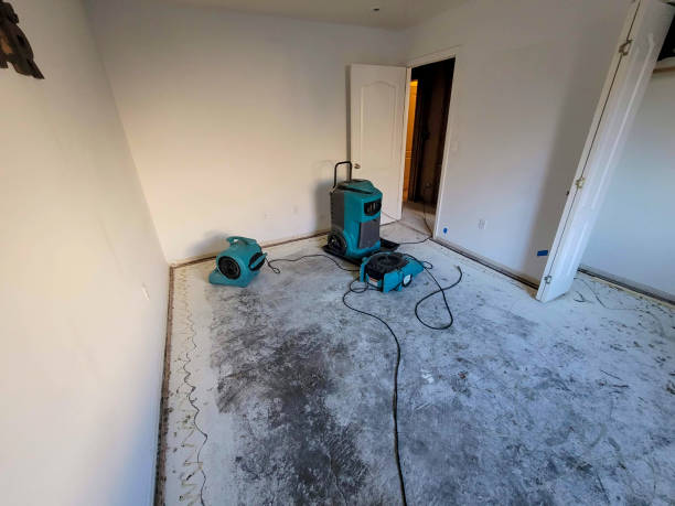 Professional Water damage restoration in Prospect, PA
