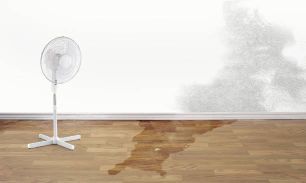 Sewage cleanup and water damage restoration in Prospect, PA