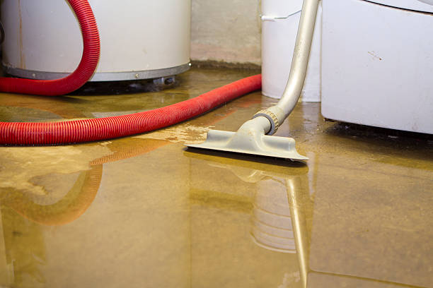 Best Flooded house restoration  in Prospect, PA