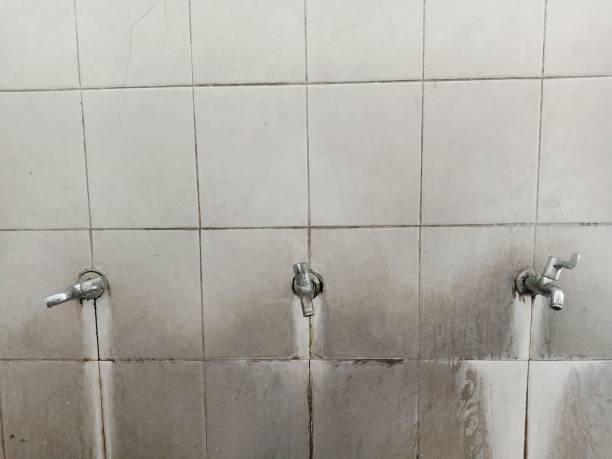 Best Mold removal after water damage  in Prospect, PA