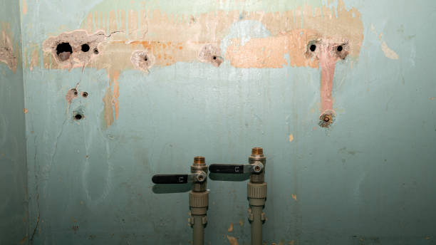 Best Water damage restoration near me  in Prospect, PA