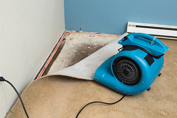 Best Carpet water damage restoration  in Prospect, PA